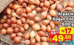ARPACIK SOĞAN FİLE 500 G fiyat ve kampanya bilgisi